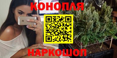 прущие грибы Ликино-Дулёво