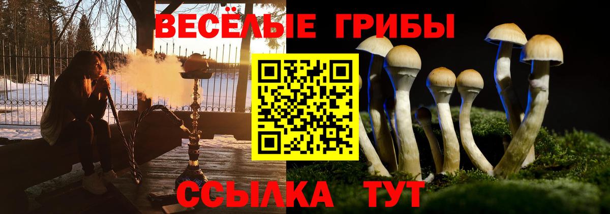 Псилоцибиновые грибы ЛСД  закладки  Псилоцибиновые грибы мицелий  Шебекино  Вход с VPN 
