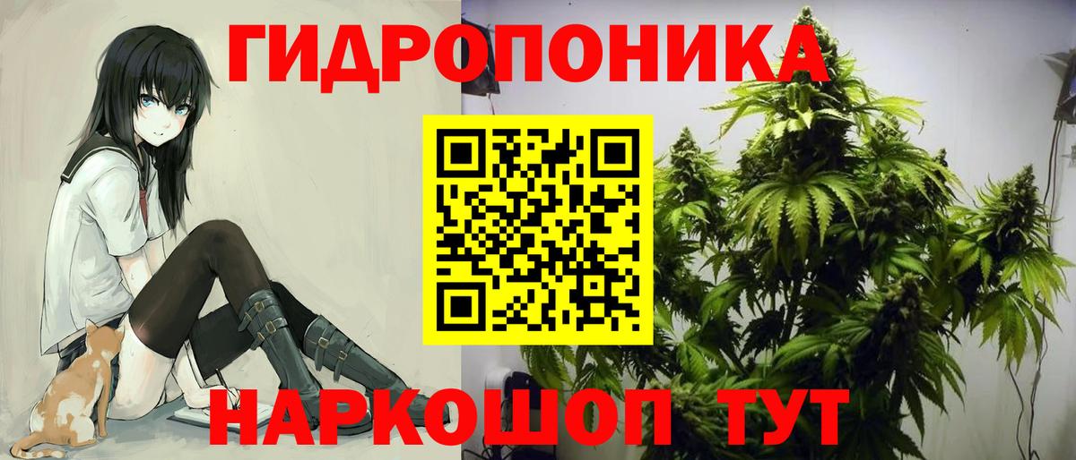 Шебекино  МАРИХУАНА планчик  Марихуана гибрид  Вход с VPN  Бошки Шишки Amnesia 